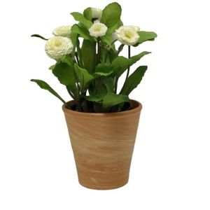 🌻2/$15🌻 Terra Cotta Flower or Succulent Pot
